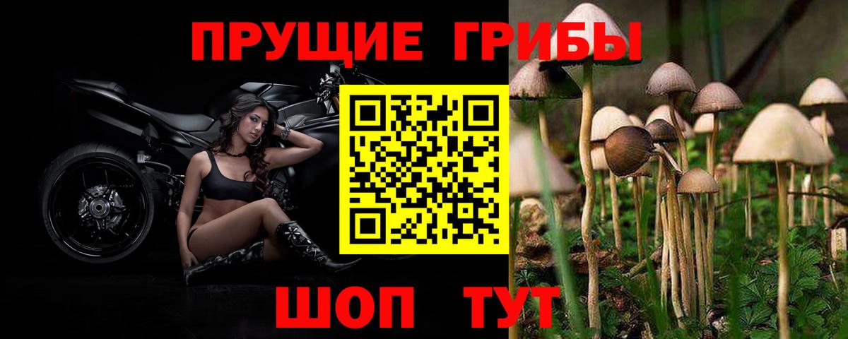 Галлюциногенные грибы Magic Shrooms Жуковский